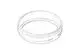 DORNBRACHT-Ring-ERSATZTEILE-092401026-36-x-8-x-36-mm-Platin-gebuerstet-092401026-06 gallery number 1
